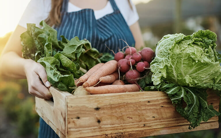 L'agriculture est un métier dont agrifournitures répond aux besoins