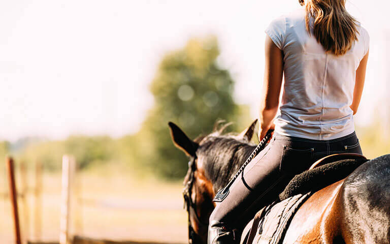 Agrifournitures vend des équipement pour les métiers liés à l'équitation