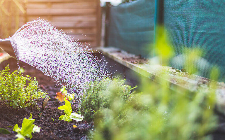 Agrifournitures fourni du matériel pour le jardin